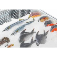 Polar G-Serie Fisch Display servieren über Theke K&uuml