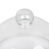 Speiseglocke aus Glas 21cm