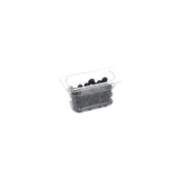 Gastronormbehälter, Serie STANDARD, Polycarbonat, GN...