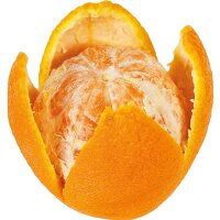 Orangenschäler