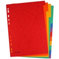Register - blanko, Karton, A4, 12 Blatt, 6-farbig