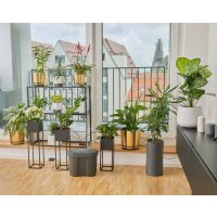 GARDENA Urlaubsbewässerung-Set