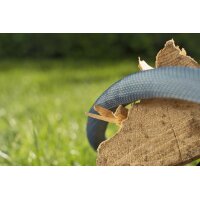 Textilschlauch Liano™ Xtreme 15 m Set 3