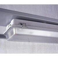 Lampe 1200 mm lang mit Abdeckung inklusive Leuchtmittel