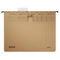 LEITZ H&auml;ngehefter ALPHA&reg; 1914 Karton...