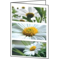 SIGEL Grußkarten Romance DC171 DIN gallery