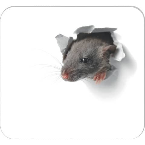 RNK-Verlag Mousepad-Notizblock weiß/grau 30 Blatt