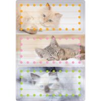 Schuletiketten Katzen, beglimmert