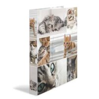 HERMA Animals Katzen Ringbuch 2-Ringe Mo gallery