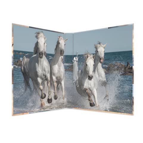 HERMA Animals Pferde Ringbuch 2-Ringe Motiv 3,5 cm DIN A4