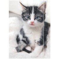 RNK-Verlag Zeichenmappe DIN A3 Katze, 1  gallery