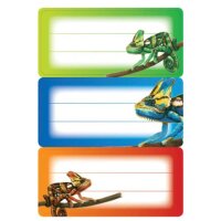 Schuletiketten Gecko