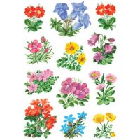 3582 Sticker DECOR Gebirgsblumen