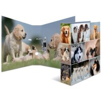 HERMA Motivordner Hunde 7,0 cm DIN A4, 1 St.