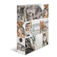 HERMA Motivordner Katzen 7,0 cm DIN A4, 1 St.