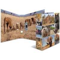 HERMA Motivordner Afrika Tiere 7,0 cm DI gallery