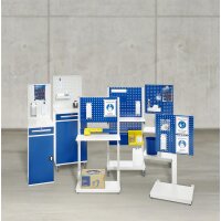 Desinfektionsmittel-Set für Wand- oder Lochplattenmonta