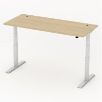 Sitz-/Stehtisch COMFORT MULTI M Buchedek gallery