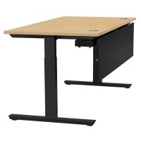 Schreibtisch T-Fu&szlig; MULTI M BuchedekorB 1200 x T...