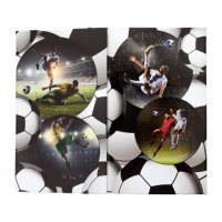 HERMA Stiftehalter Fußball Karton 8,0 x