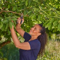 GARDENA PremiumCut Gartenschere 4