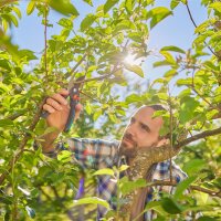 GARDENA PremiumCut Pro Flex Gartenschere 4
