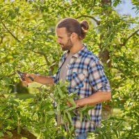 GARDENA PremiumCut Pro Flex Gartenschere 5