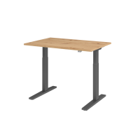 Sitz-Steh-Schreibtisch el.120x80cm Asteiche/G