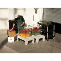 Cambro großer Servierwagen mit 3 Ablagen