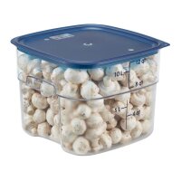 Cambro FreshPro Camsquare Lebensmittelbehälter 11.4Ltr