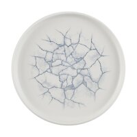 Churchill Studio Prints Kintsugi-Teller mit Perlenwänden, Grau, 220 mm (6 Stück)