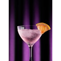 Utopia Loire Martini-Gläser 240ml (6er-Pack)