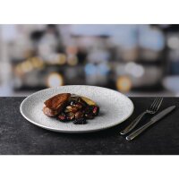 Churchill Raku Jasper Grey Evolve Coupe-Teller 8,67" (Box 12) (Direkt)