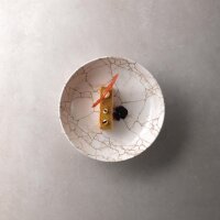 Studio Prints Kintsugi Achatgraue Coupe-Schüsseln, 248 mm, (12 Stück)
