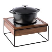 APS Buffet Induktionskochplatte 354x325mm 3