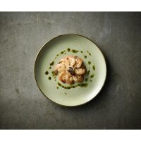 Churchill Stonecast Raw Green Evolve Coupe Teller 260mm (12 Stück)