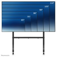 Neomounts FL50-575BL1 TV-Trolley 65-110" - schnelle Installation - TÜV