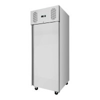 Edelstahltiefkühlschrank, Inhalt 610