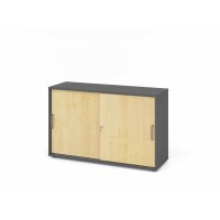 Schiebetürenschrank V1752S SG Graph gallery