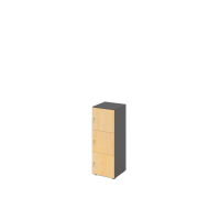 Schliessfachschrank 3OH Graphit/Ahorn,3xDS
