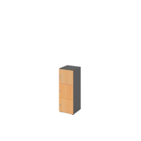 Schliessfachschrank 3OH Graphit/Buche,3xDS