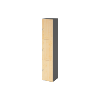 Schliessfachschrank 6OH Graphit/Ahorn,3x gallery