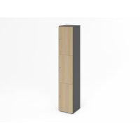 Schliessfachschrank 6OH Graphit/Eiche,3x gallery