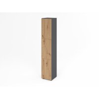 Schliessfachschrank 6OH Graphit/Ast.,3xD gallery