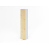 Schliessfachschrank 6OH Weiss/Ahorn,3xDS gallery
