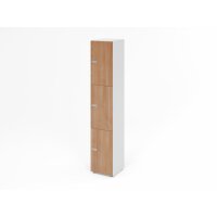 Schliessfachschrank 6OH Weiss/Nuss,3xZS gallery