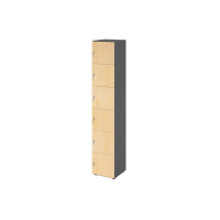 Schliessfachschrank 6OH Graphit/Ahorn,6xDS