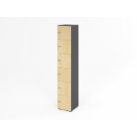 Schliessfachschrank 6OH Graphit/Ahorn,6x gallery