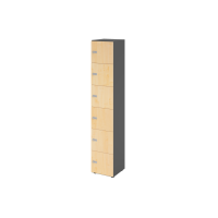 Schliessfachschrank 6OH Graphit/Ahorn,6xZS