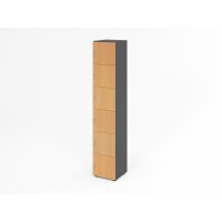 Schliessfachschrank 6OH Graphit/Buche,6x gallery